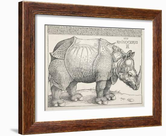 The Rhinoceros-Albrecht Dürer-Framed Art Print