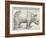 The Rhinoceros-Albrecht Dürer-Framed Art Print