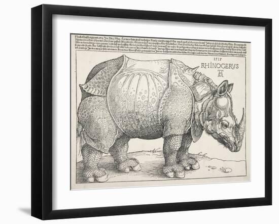 The Rhinoceros-Albrecht Dürer-Framed Art Print