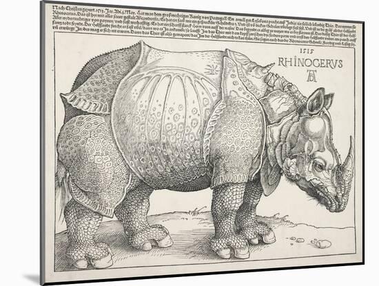 The Rhinoceros-Albrecht Dürer-Mounted Art Print