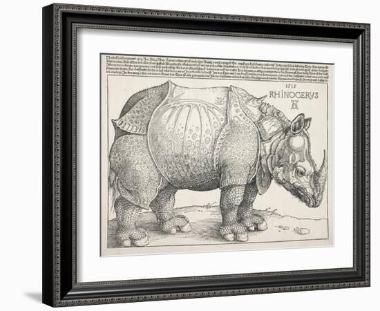 The Rhinoceros-Albrecht Dürer-Framed Art Print