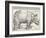 The Rhinoceros-Albrecht Dürer-Framed Art Print