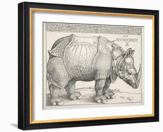 The Rhinoceros-Albrecht Dürer-Framed Art Print