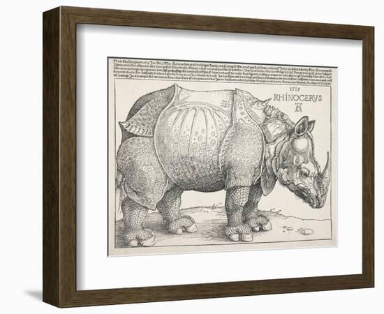 The Rhinoceros-Albrecht Dürer-Framed Art Print