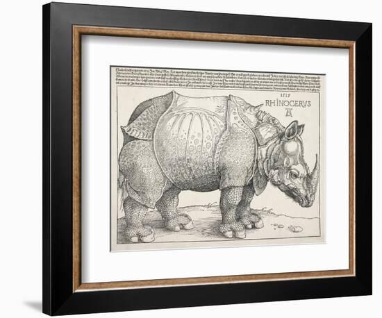 The Rhinoceros-Albrecht Dürer-Framed Art Print