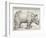 The Rhinoceros-Albrecht Dürer-Framed Art Print