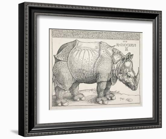 The Rhinoceros-Albrecht Dürer-Framed Art Print