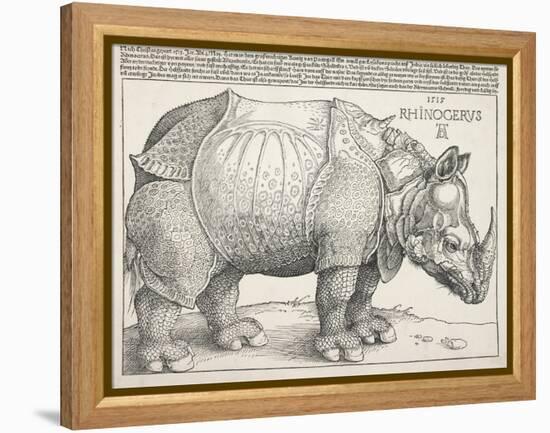 The Rhinoceros-Albrecht Dürer-Framed Stretched Canvas