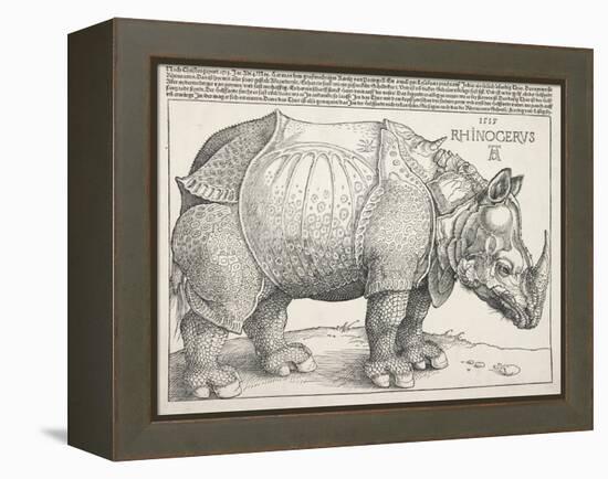The Rhinoceros-Albrecht Dürer-Framed Stretched Canvas
