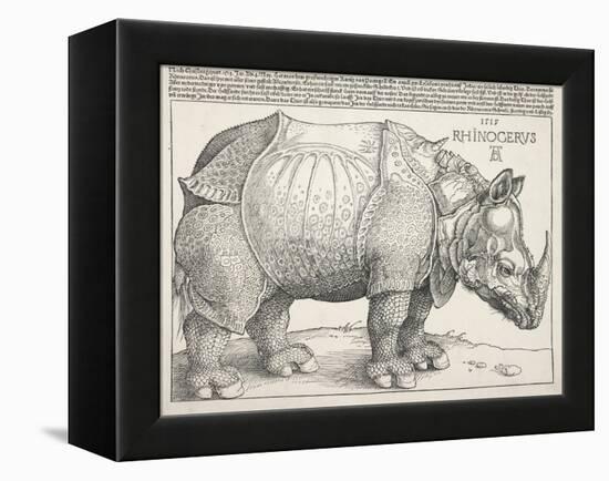 The Rhinoceros-Albrecht Dürer-Framed Stretched Canvas