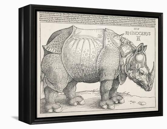 The Rhinoceros-Albrecht Dürer-Framed Stretched Canvas