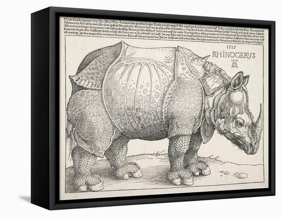 The Rhinoceros-Albrecht Dürer-Framed Stretched Canvas