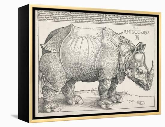 The Rhinoceros-Albrecht Dürer-Framed Stretched Canvas