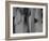 The Rhythm of Life II-Doug Chinnery-Framed Photographic Print