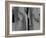 The Rhythm of Life-Doug Chinnery-Framed Photographic Print