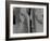 The Rhythm of Life-Doug Chinnery-Framed Photographic Print