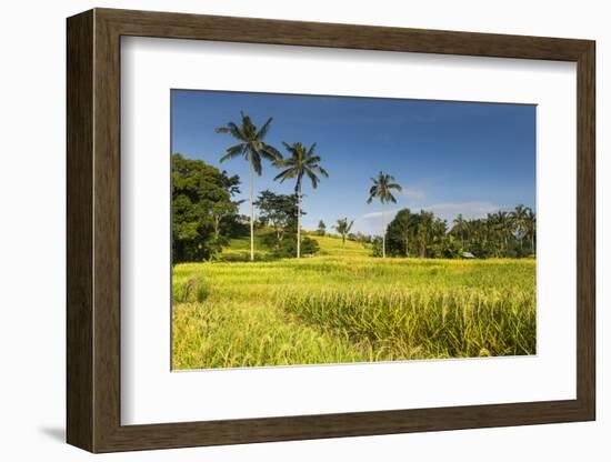 The Rice Terraces Jati Luwih-Christoph Mohr-Framed Photographic Print