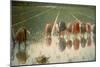 The Rice Weeders (For Eighty Cents)-Angelo Morbelli-Mounted Giclee Print