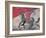 The Rider-Marc Chagall-Framed Collectable Print