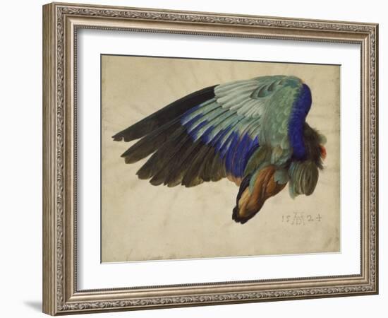 The Right Wing of a Blue Roller, 1524-Albrecht Dürer-Framed Giclee Print