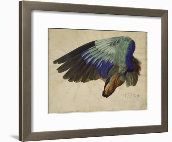 The Right Wing of a Blue Roller, 1524-Albrecht Dürer-Framed Giclee Print