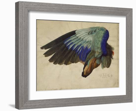 The Right Wing of a Blue Roller, 1524-Albrecht Dürer-Framed Giclee Print