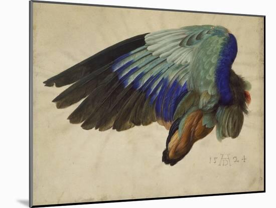 The Right Wing of a Blue Roller, 1524-Albrecht Dürer-Mounted Giclee Print