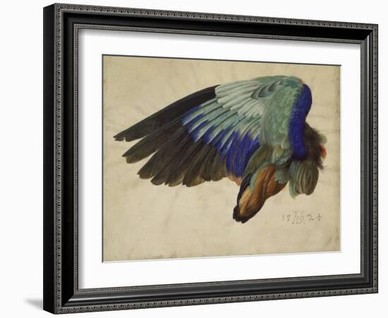 The Right Wing of a Blue Roller, 1524-Albrecht Dürer-Framed Giclee Print