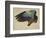 The Right Wing of a Blue Roller, 1524-Albrecht Dürer-Framed Giclee Print