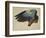 The Right Wing of a Blue Roller, 1524-Albrecht Dürer-Framed Giclee Print