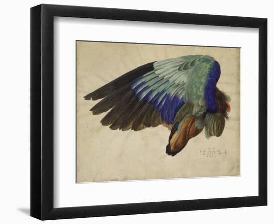 The Right Wing of a Blue Roller, 1524-Albrecht Dürer-Framed Giclee Print