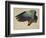 The Right Wing of a Blue Roller, 1524-Albrecht Dürer-Framed Giclee Print