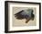 The Right Wing of a Blue Roller, 1524-Albrecht Dürer-Framed Giclee Print