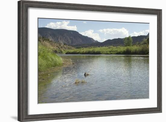 The Rio Grande near Pilar, New Mexico-null-Framed Photographic Print