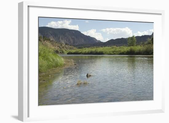 The Rio Grande near Pilar, New Mexico-null-Framed Photographic Print