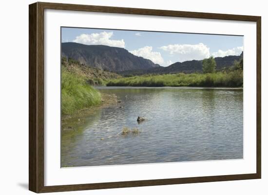 The Rio Grande near Pilar, New Mexico-null-Framed Photographic Print