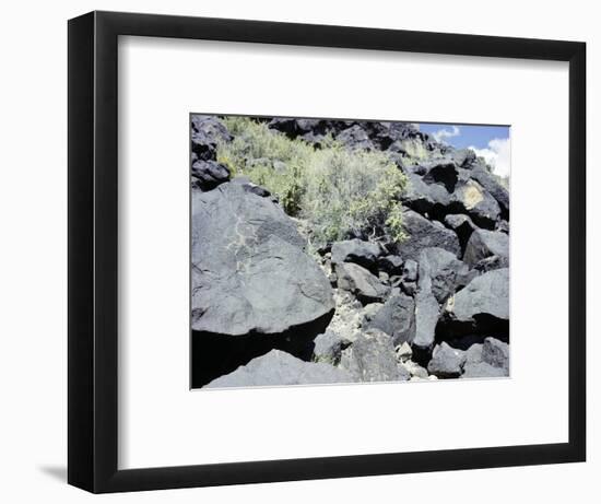 The Rio Grande petroglyphs, Native American, New Mexico, USA-Werner Forman-Framed Photographic Print