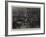 The Riots in Brussels, a Fight in the Avenue Louise-Frederic De Haenen-Framed Giclee Print