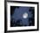 The Rising Moon, Nearly Full, is Visible Through the Trees Near Murphysboro, Ill-null-Framed Photographic Print