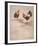 The Rivals-E^ Richard Sturgeon-Framed Giclee Print