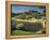 The River Dordogne, Limeuil, Dordogne, Aquitaine, France-David Hughes-Framed Premier Image Canvas