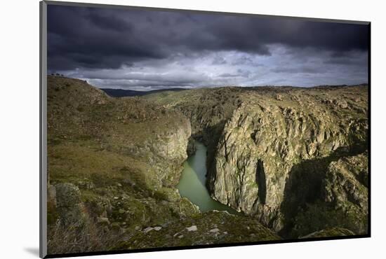 The river Douro crossing the wild and rocky gorges of the International Douro Nature Park, between -Mauricio Abreu-Mounted Photographic Print