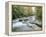 The River Esk, Eskdale, Lake District National Park, Cumbria, England, UK-Roy Rainford-Framed Premier Image Canvas