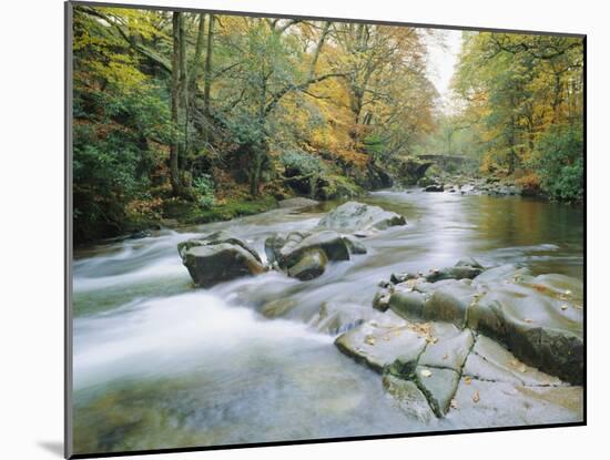 The River Esk, Eskdale, Lake District National Park, Cumbria, England, UK-Roy Rainford-Mounted Photographic Print