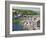 The River Looe at Looe in Cornwall, England, United Kingdom, Europe-David Clapp-Framed Photographic Print