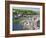 The River Looe at Looe in Cornwall, England, United Kingdom, Europe-David Clapp-Framed Photographic Print