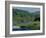 The River Tay Three Miles North of Dunkeld, Tayside, Scotland, United Kingdom-Adam Woolfitt-Framed Photographic Print