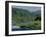 The River Tay Three Miles North of Dunkeld, Tayside, Scotland, United Kingdom-Adam Woolfitt-Framed Photographic Print