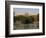 The River Thames and Windsor Castle, Windsor, Berkshire, England, UK, Europe-Charles Bowman-Framed Photographic Print