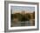 The River Thames and Windsor Castle, Windsor, Berkshire, England, UK, Europe-Charles Bowman-Framed Photographic Print